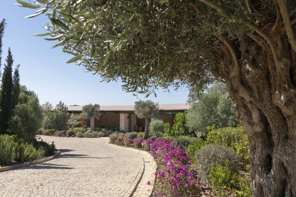 ویلای دولونای - نورمن فاستر