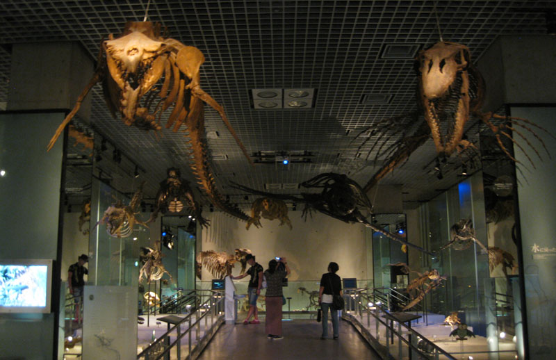 موزه ملی توکیو